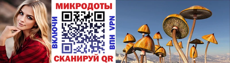 Псилоцибиновые грибы MAGIC MUSHROOMS Облучье