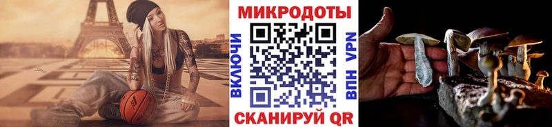 Галлюциногенные грибы MAGIC MUSHROOMS  где найти наркотики  Облучье 